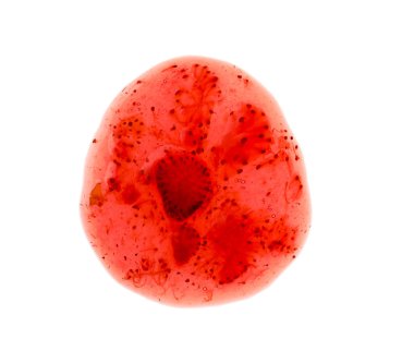 Beyaz arka plan üzerinde tatlı berry reçel