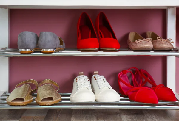 Collection of stylish shoes on rack storage near color wall — Stock Photo, Image