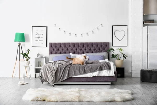 快適な柔らかいベッドとベッドルームのインテリア — ストック写真
