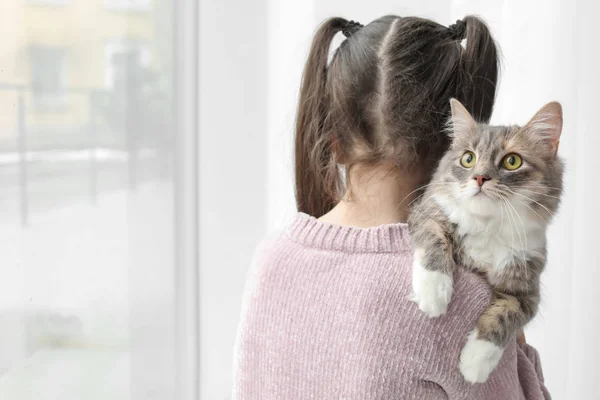 Menina bonito com gato perto da janela em casa — Fotografia de Stock