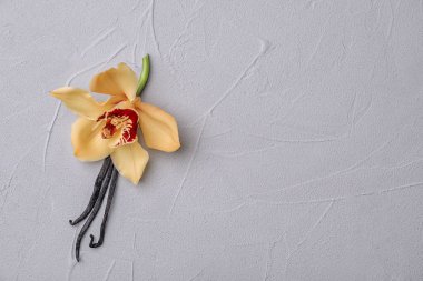 Vanilya çiçek ve ışık arka plan üzerinde sopa