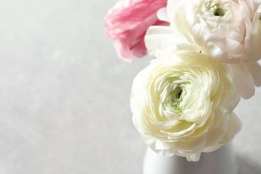 Açık arkaplanda güzel ranunculus çiçekleri, yakın plan