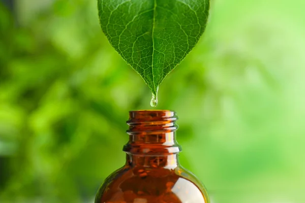 Dripping of essential oil into bottle on blurred background