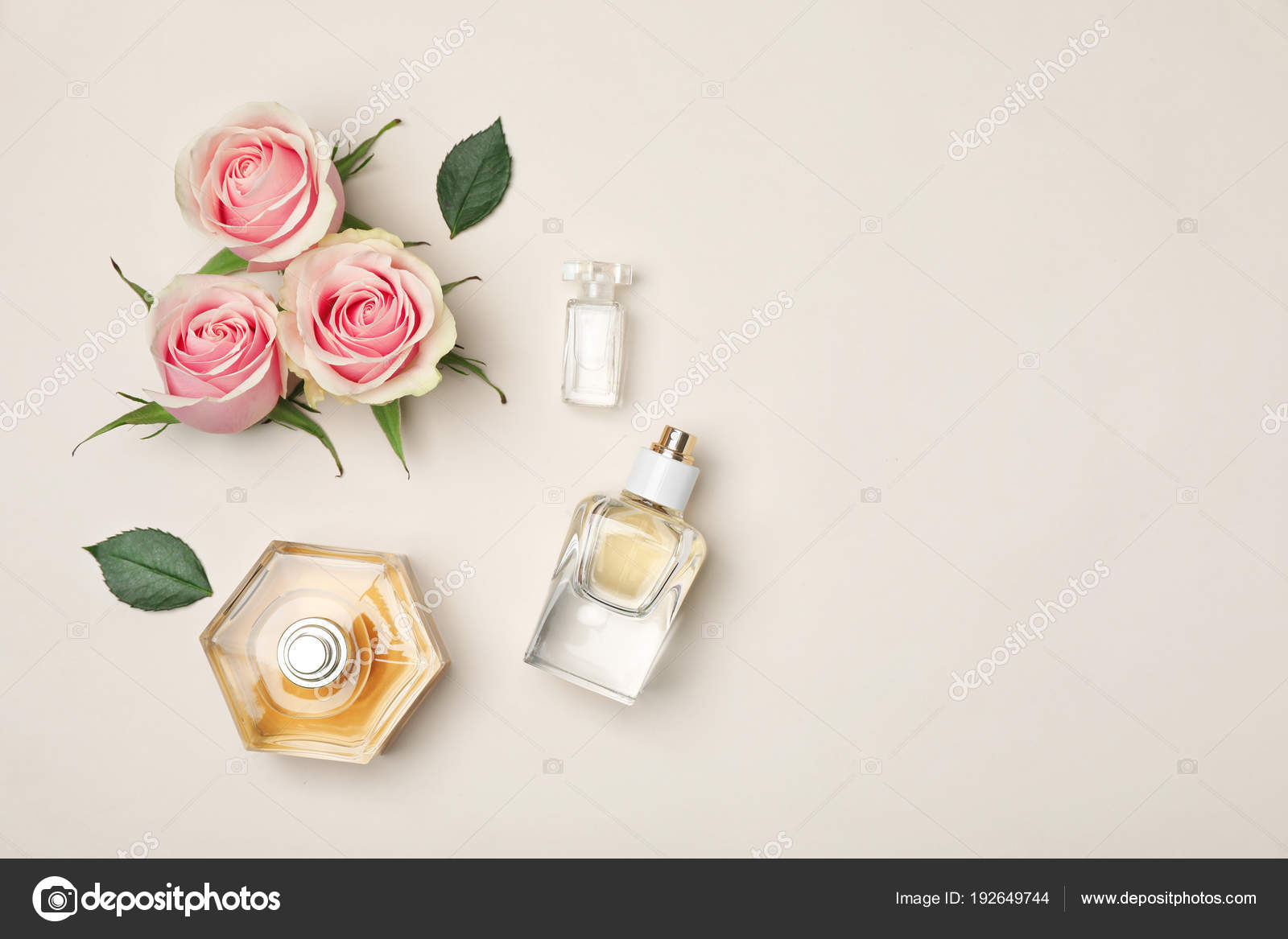 Bottles of perfume and roses on light background, top view — Stock
