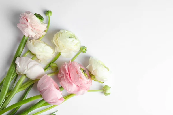 Красиві квіти рунункули на білому тлі — стокове фото