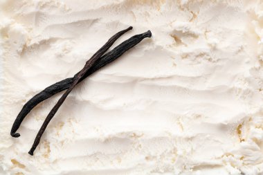 Lezzetli vanilyalı dondurma ve sopa, portre