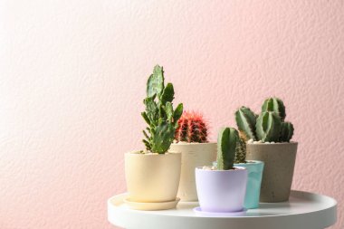 Tencere renk arka plan karşı masada güzel kaktüsler