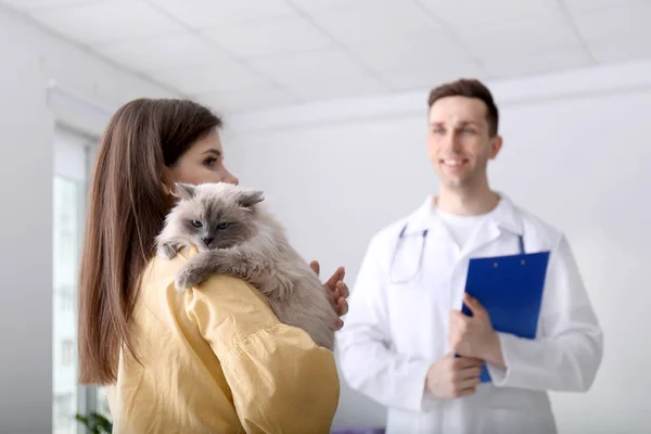 Ung kvinna med katt och veterinär i klinik — Stockfoto