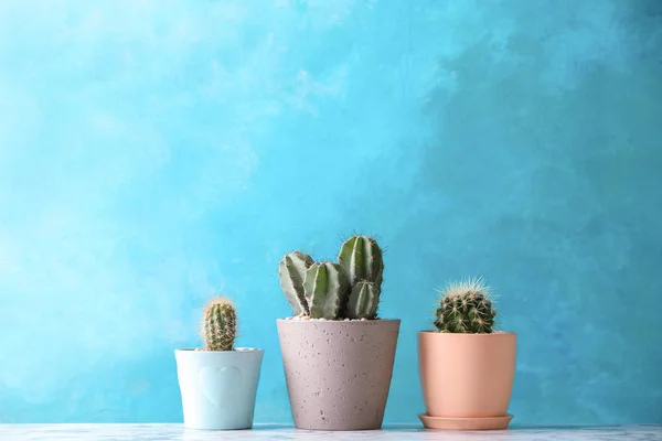 Piękne kaktusy w doniczkach na stole przed kolor tła — Zdjęcie stockowe