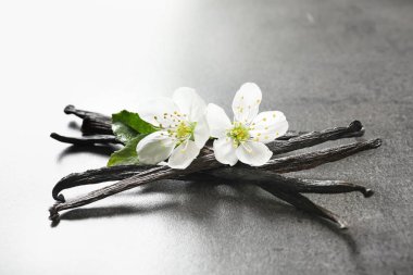 Vanilya çubukları ve gri arka plan üzerinde çiçekler