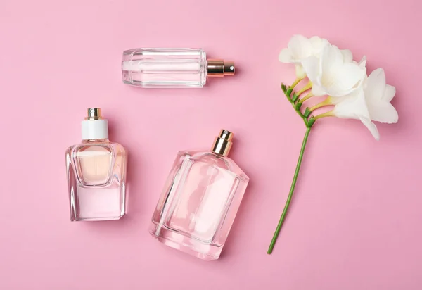 Bouteilles de parfum et de fleur sur fond de couleur, vue de dessus — Photo