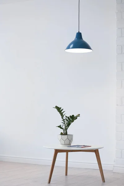 Modern lamp with plant on table indoors