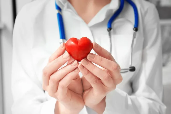 Doctor holding small red heart, closeup. Heart attack concept — Stock Photo, Image