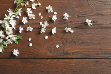 Ahşap arka plan üzerinde güzel çiçek şube