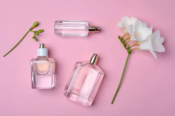 Bouteilles de parfum et de fleur sur fond de couleur, vue de dessus — Photo