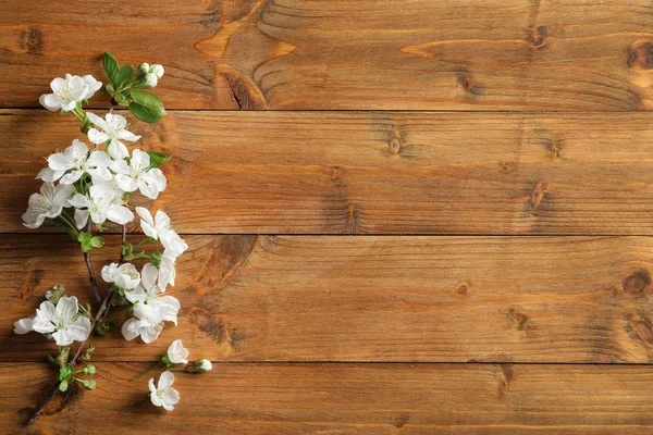 Ahşap arka plan üzerinde güzel çiçek şube