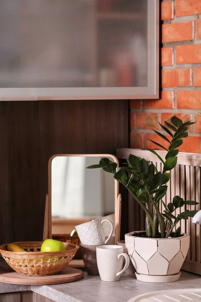 Liten spegel och växt på bordet i köket. Idén till hem design — Stockfoto