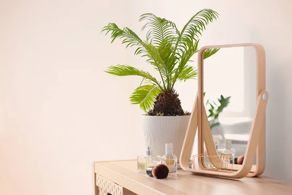 Pequeño espejo y planta en la mesa en el interior. Idea para el diseño del hogar —  Fotos de Stock