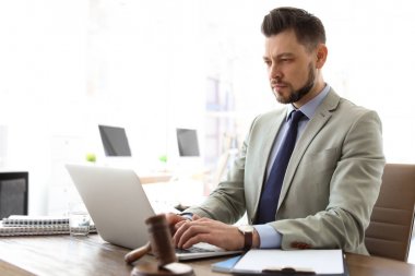 Erkek avukat ofis içinde laptop ile çalışma