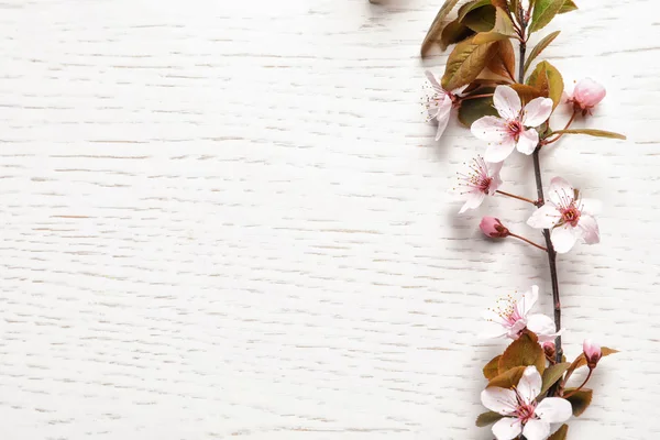Mooie bloeiende tak op houten achtergrond — Stockfoto
