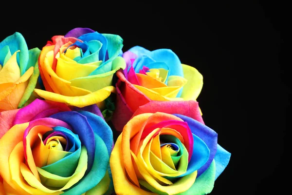 Niesamowite rainbow rose kwiaty na czarnym tle — Zdjęcie stockowe