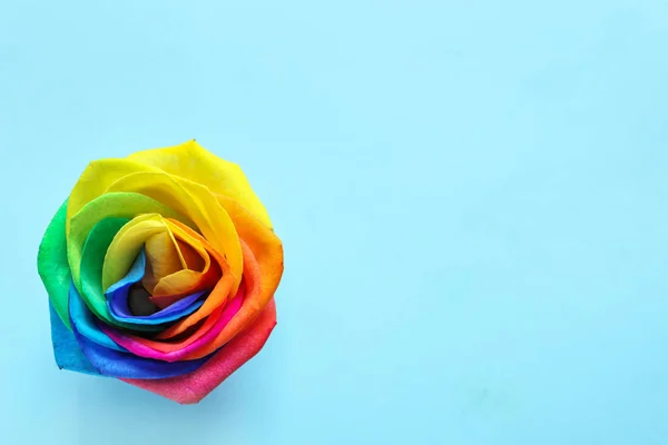 Amazing rainbow rose flower on color background — Stock Photo, Image