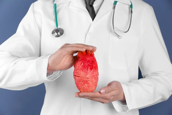 医生持有心脏模型, 特写。预防心脏病发作 — 图库照片