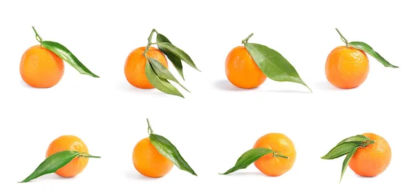 Conjunto de tangerinas maduras frescas sobre fundo branco — Fotografia de Stock