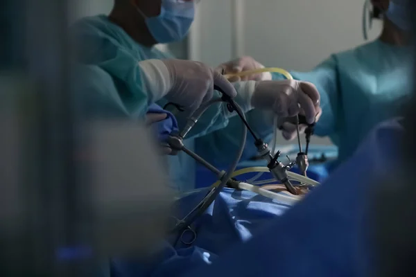 의료진, 수술실에서 수술하는 모습, 봉합하는 모습 — 스톡 사진