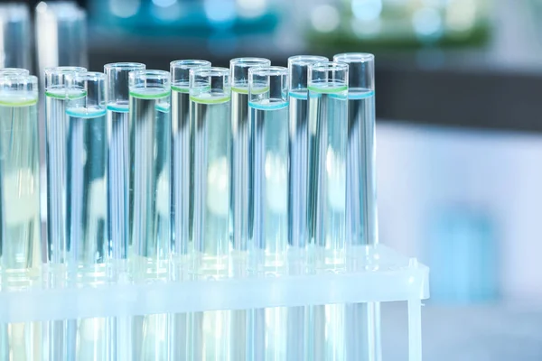 Test tubes with liquid samples for analysis in laboratory, closeup