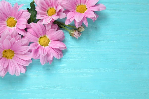 Krásné heřmánku květiny na světle modrém dřevěném pozadí, byt ležel. Mezera pro text — Stock fotografie
