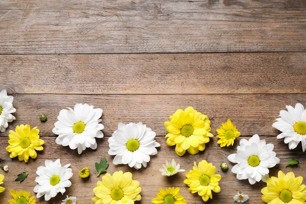 Lindas flores de camomila em fundo de madeira, flat lay. Espaço para texto — Fotografia de Stock