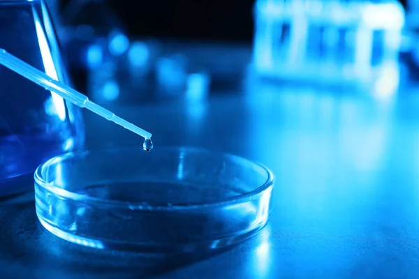 Goteo de líquido en la placa de Petri en la mesa. Análisis de laboratorio — Foto de Stock