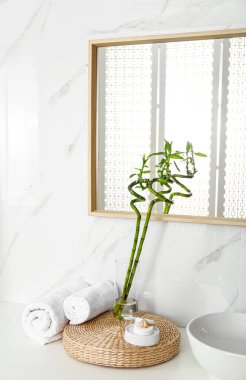 Şık banyo iç yaprakları ile Tropikal bambu kaynaklanıyor
