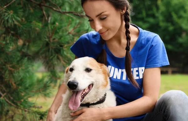 Hayvan barınağında evsiz köpekle birlikte gönüllü bir kadın. — Stok fotoğraf