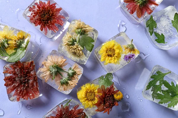 Cubes de glace avec des fleurs sur fond violet, plat — Photo