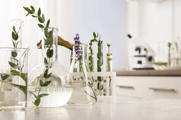 Wyroby laboratoryjne szklane z różnymi roślinami na stole w pomieszczeniach — Zdjęcie stockowe