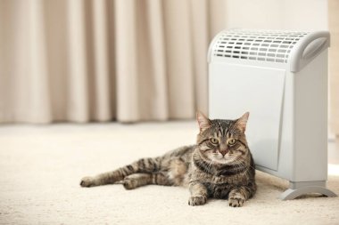 Evde elektrikli ısıtıcının yanında sevimli tekir kedi var. Metin için boşluk
