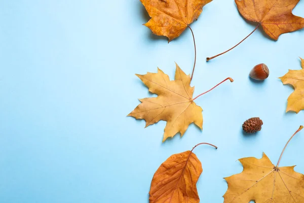 Flache Liegekomposition mit Herbstblättern auf blauem Hintergrund. Raum für Text — Stockfoto