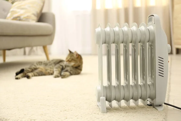 Calentador eléctrico y gato tabby borroso sobre fondo. Espacio para texto — Foto de Stock