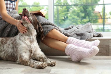 Pencere, closeup görünümü üzerinde sahibi ile sevimli Rus Spaniel. Metin için alan