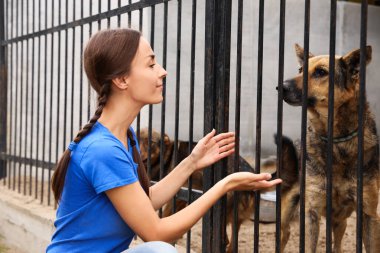 Hayvan barınağında köpek kafesinin yanında gönüllü bir kadın var.