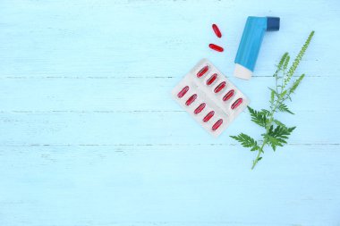 Ragweed (Ambrosia) şube, inhaler ve hapları mavi ahşap masa, düz metin için boşluk yatıyordu. Mevsimsel alerji