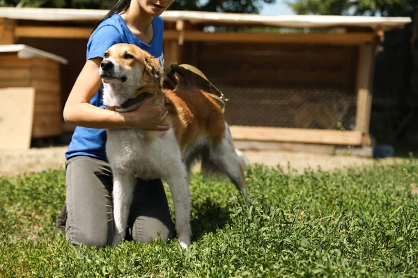 Mujer con perro sin hogar en refugio de animales, espacio para el texto. Concepto de voluntariado — Foto de Stock