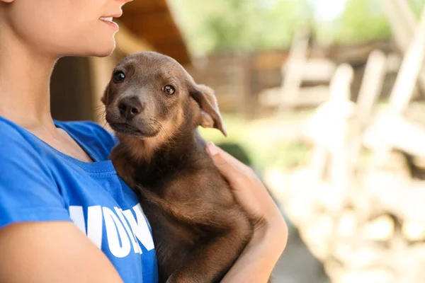 Mulher segurando cão sem-teto ao ar livre, espaço para texto. Conceito de voluntariado — Fotografia de Stock