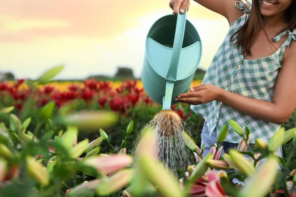 Jovem mulher regando flores no campo de lírios, close-up com espaço para texto. Ferramentas de jardinagem — Fotografia de Stock
