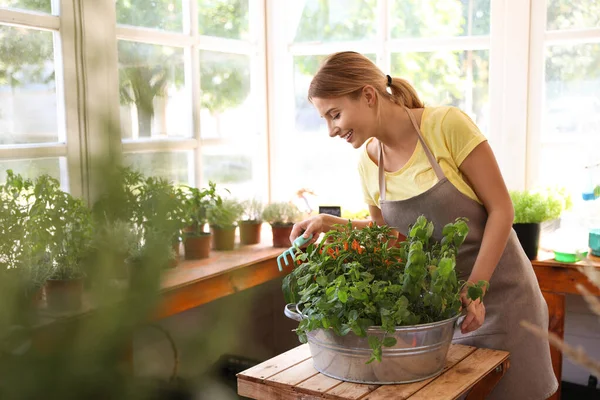 Jovem mulher cuidando de plantas em casa na mesa de madeira na loja — Fotografia de Stock