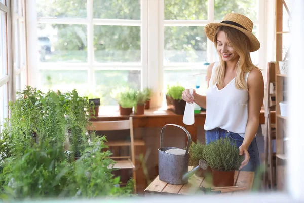 Young woman sprinkling home plants at wooden table indoors, view through window — Stock Photo, Image