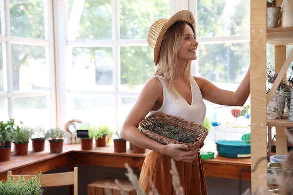 Young woman holding basket with home plants in shop, space for text — Stock Photo, Image