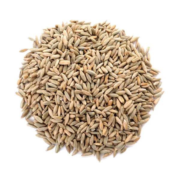 Mucchio di grani di segale su sfondo bianco, vista dall'alto. Coltivazione cerealicola — Foto Stock